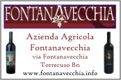 Azienda Agricola Fontanavecchia Dott. Libero Rillo Torrecuso Bn